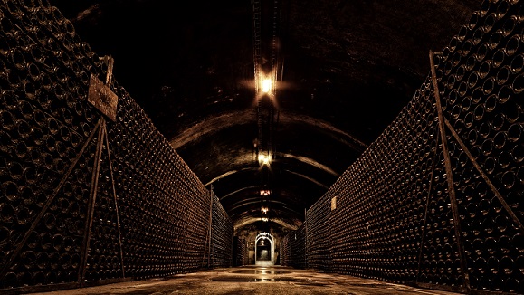 Bollinger - cellar